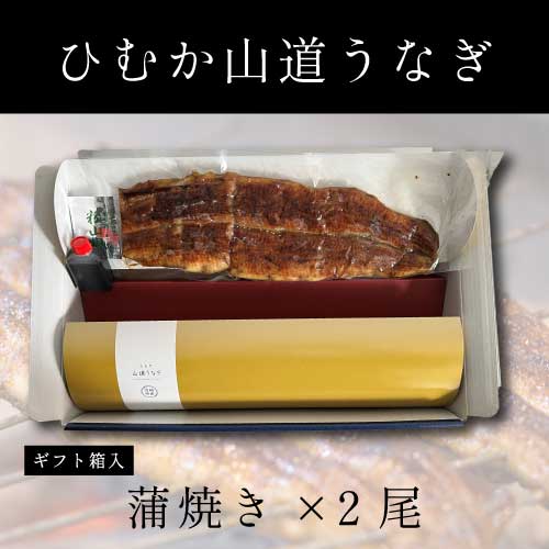 【6月28日お届け】 「ひむか山道うなぎ」蒲焼き2尾パッケージ